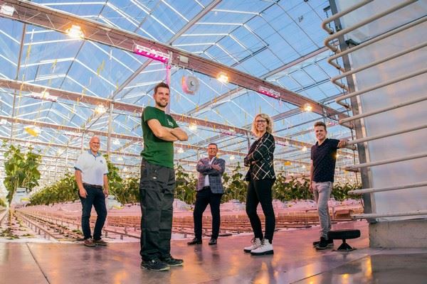 dutch-grower-goes-hybrid-with-first-5-hectares-of-cucumbers