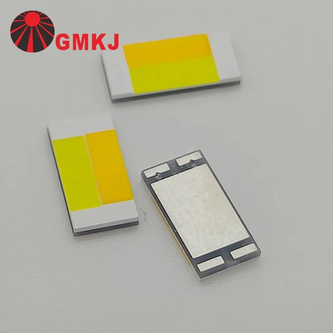 3000K 6500K Dual Colori 3570 LED SMD per auto